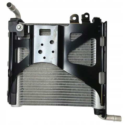 T4A50609 Jaguar 
