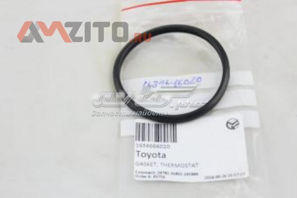 1634666020 Toyota junta, termostato