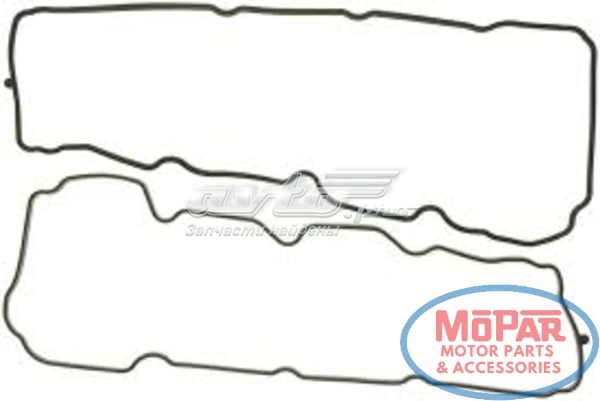 VS50407 Mahle Original