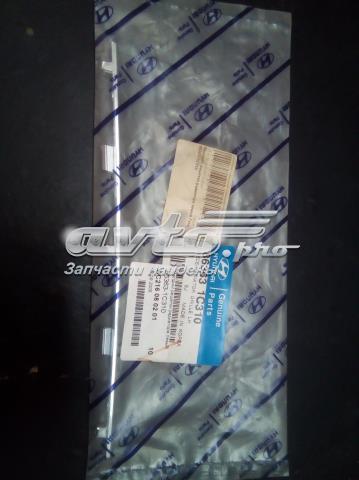 Moldura de rejilla de radiador izquierda HYUNDAI 863631C310