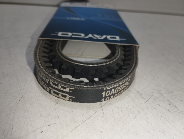 10A0925C Dayco Correa poly v