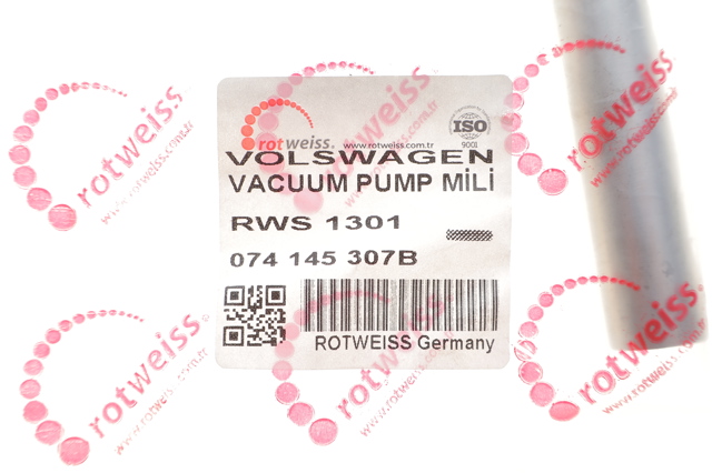 RWS1301 Rotweiss Juego de reparación de bomba de vacío