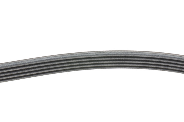 Correa de transmisión trapezoidal Continental/Siemens 5PK1715 precio, desde 26,82 EUR