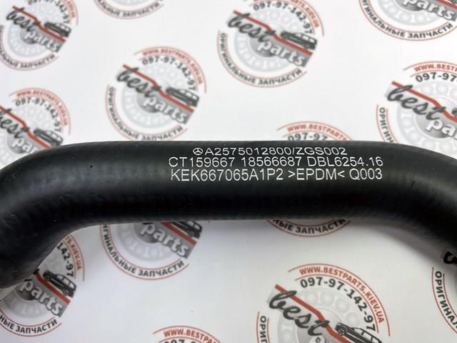  Mercedes A2575012800