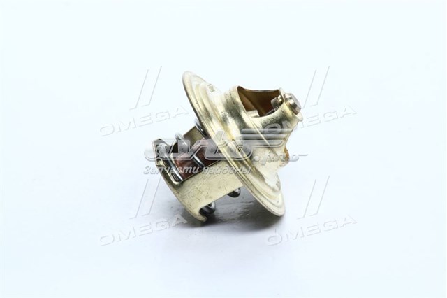 RD1517141087 Rider Termostato de agua