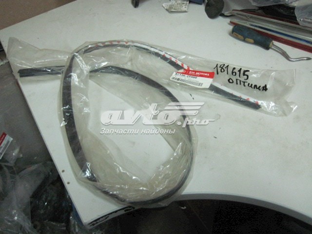 871302T000 Hyundai/Kia moldura de luneta trasera