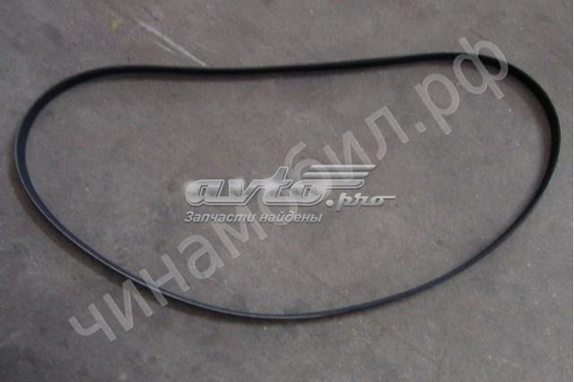 Comprar 113600015702 Geely Correa trapezoidal