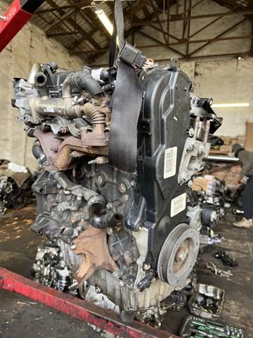 Comprar D4204T Peugeot/Citroen Motor completo