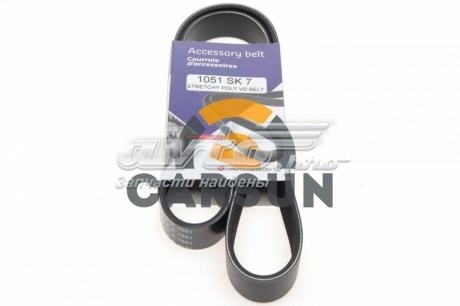1051SK7 Hutchinson Correa poly v