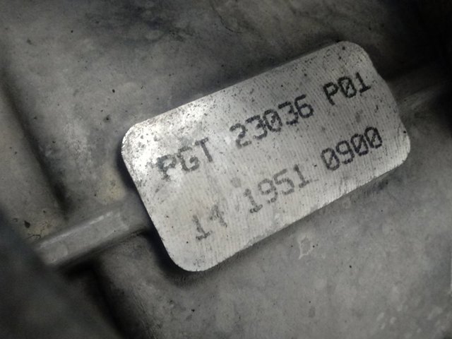  PGT VAG