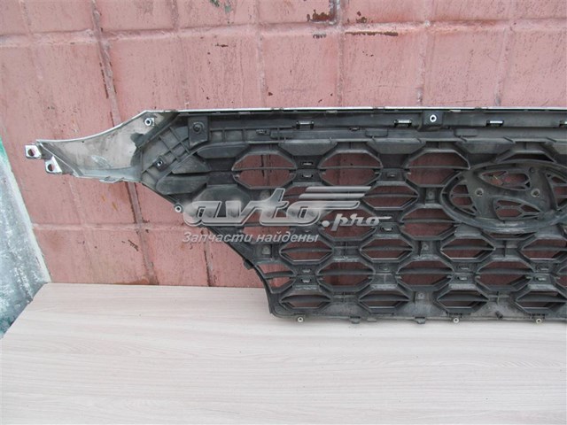 Comprar Parrilla Hyundai Santa Fe IV TM, TMA