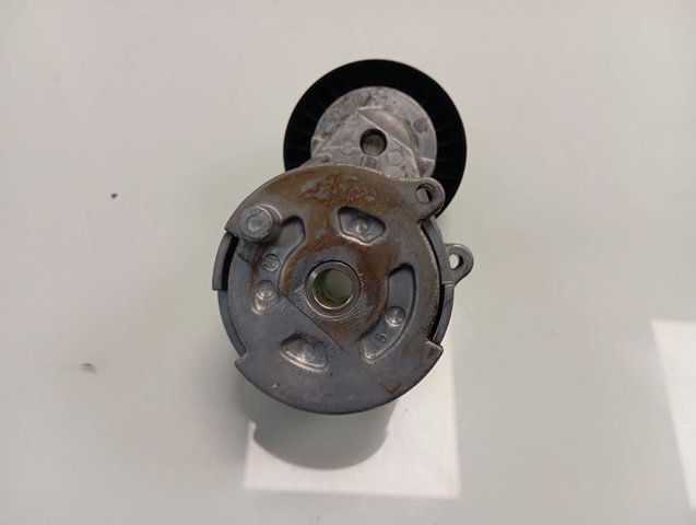 55244469 Fiat/Alfa/Lancia Tensor de correa de alternador