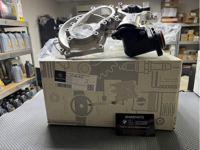  Mercedes 1772007901