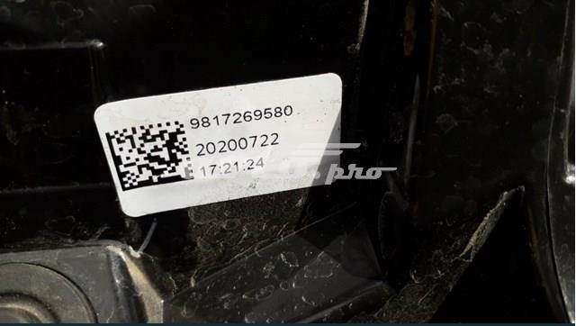Comprar 9817269580 Peugeot/Citroen 