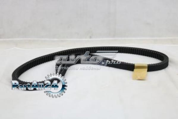 A664R100 SUN Correa dentada