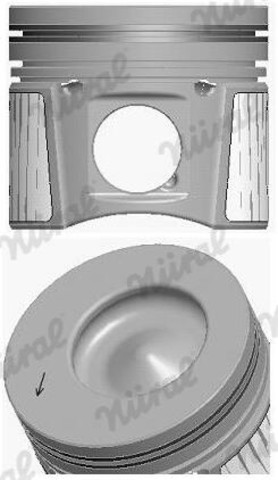 8743700010 Nural Pistón