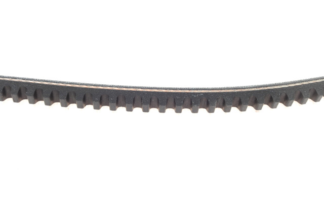 10A0960C Dayco Correa poly v
