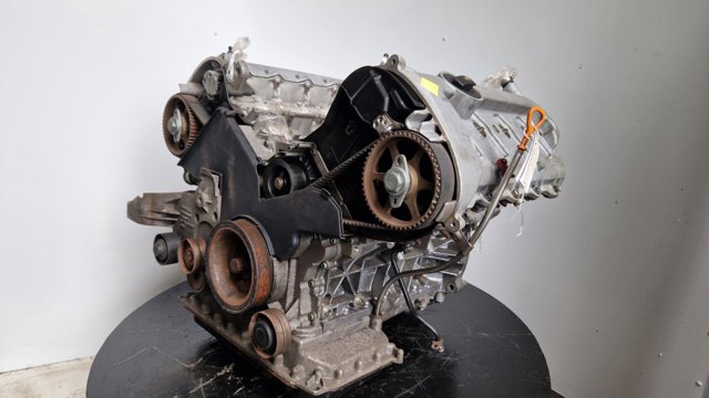 BFL VAG Motor completo