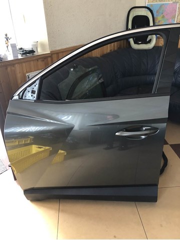 Comprar 76003N7000 Hyundai/Kia Puerta delantera izquierda