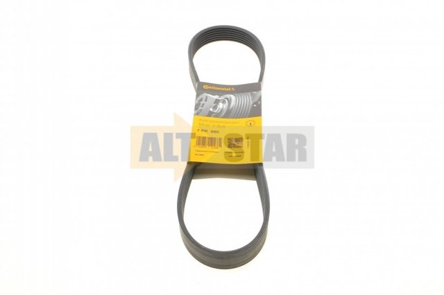 Correa de transmisión trapezoidal Continental/Siemens 7PK880 precio, desde 17,64 EUR