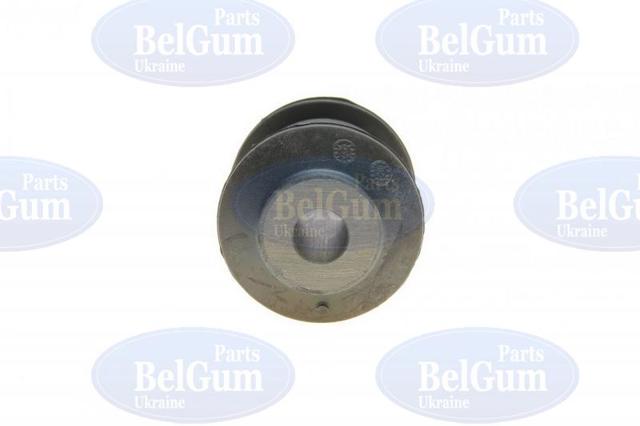 BG2231 Belgum Silentblock de brazo de suspensión delantero inferior
