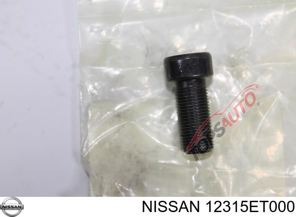 12315ET000 Nissan