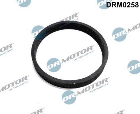 Conducto de aire, salida del filtro de aire Dr.motor DRM0258 precio, desde 22,60 EUR
