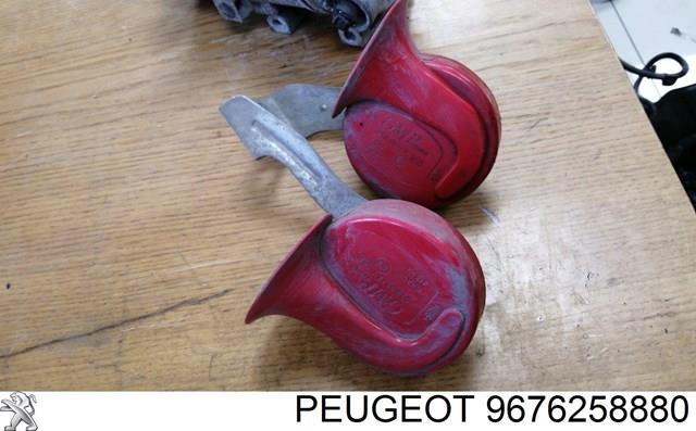 9676258880 Peugeot/Citroen