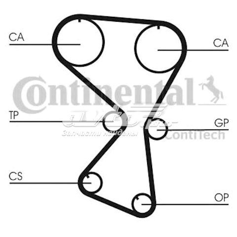 Correa de distribución Continental/Siemens CT1075 precio, desde 34,09 EUR