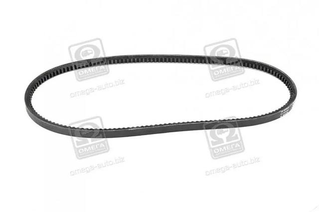 13A1030C Dayco Correa poly v