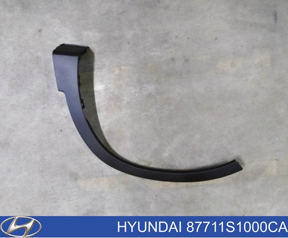 Aletín guardabarros delantero izquierdo Hyundai Santa Fe 4 (TM, TMA)