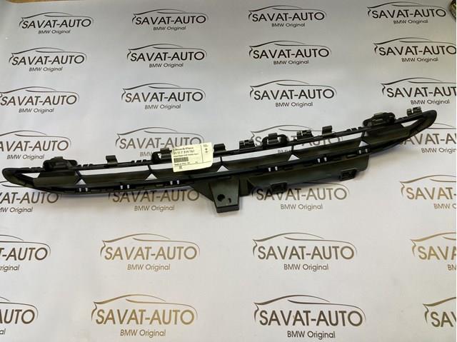 51117319767 BMW Rejilla superior del parachoques delantero