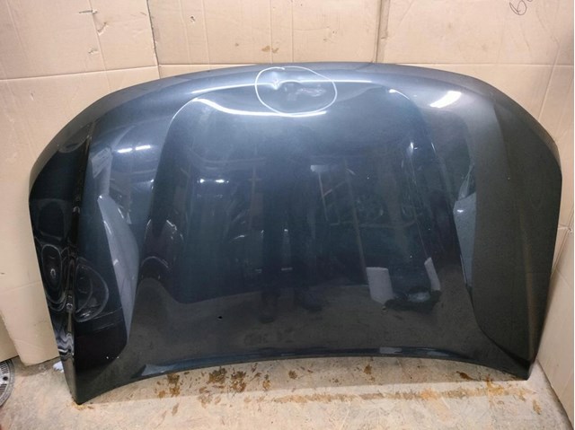 Capot Renault (RVI) 651008347R