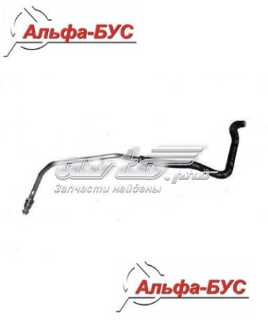 A9012500066 Mercedes tubo flexible de embrague