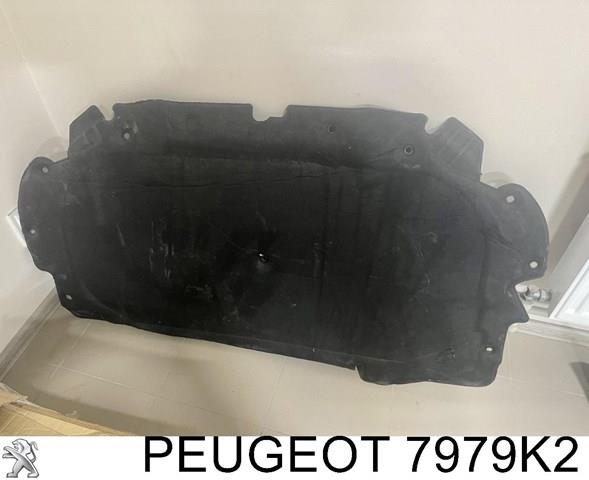 7979K2 Peugeot/Citroen aislamiento del capó