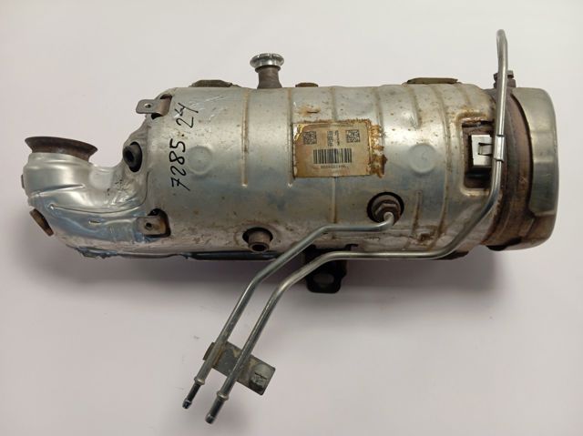 Comprar 9841854880 Peugeot/Citroen Filtro de partículas (FAP)