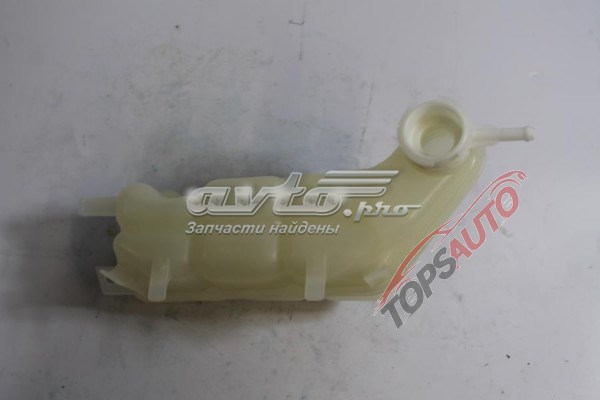 Botella expansion Nissan/Infiniti 21711VB800 precio, desde 100,19 EUR