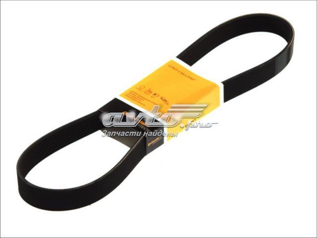 8PK2050 Continental/Siemens Correa poly v