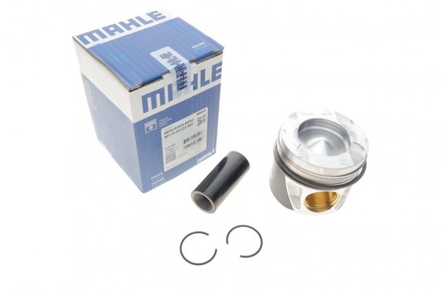 001PI00133002 Mahle Original