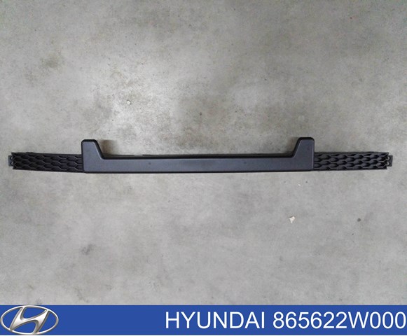 Rejilla de ventilación, parachoques delantero, central para Hyundai Santa Fe (DM)