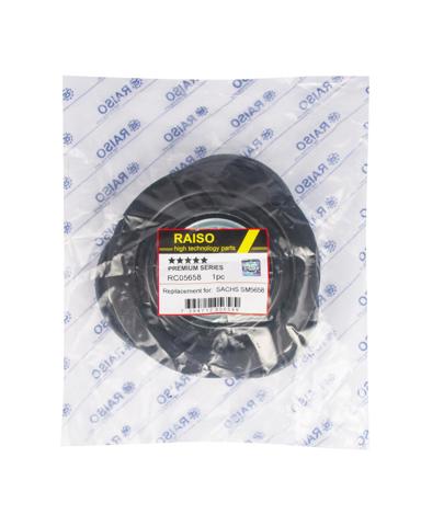 Soporte del amortiguador delantero Raiso RC05658 precio, desde 33,74 EUR