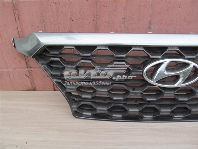 Parrilla Hyundai Santa Fe Hyundai Santa Fe 4 (TM) 