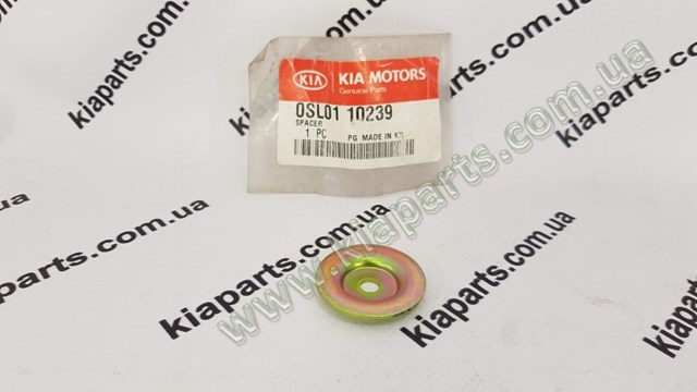 10026884 Hyundai/Kia