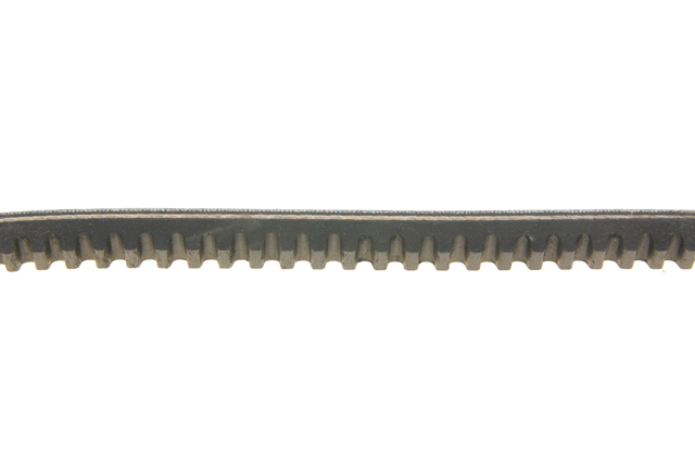 Correa de alternador 13A0750C Dayco