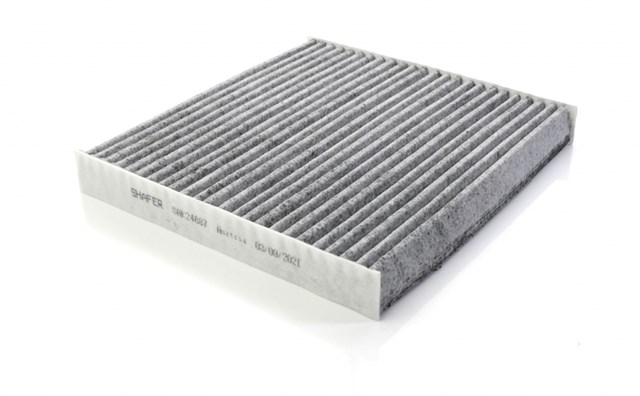 SAK24687 Shafer Filtro antipolen