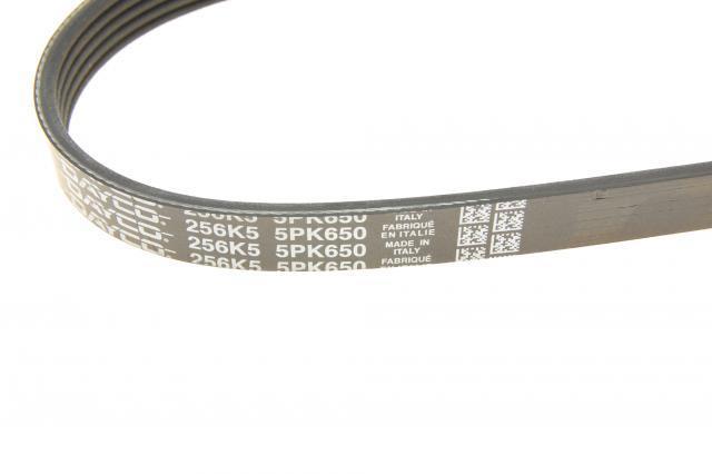 Comprar 5PK650 Dayco Correa trapezoidal