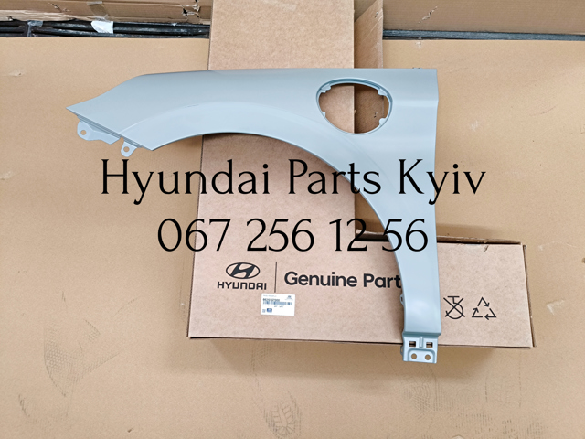Aleta delantera izquierda Hyundai/Kia 66310G7000 precio, desde 218,09 EUR