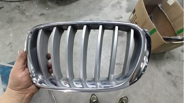 Parrilla 10627110 BMW