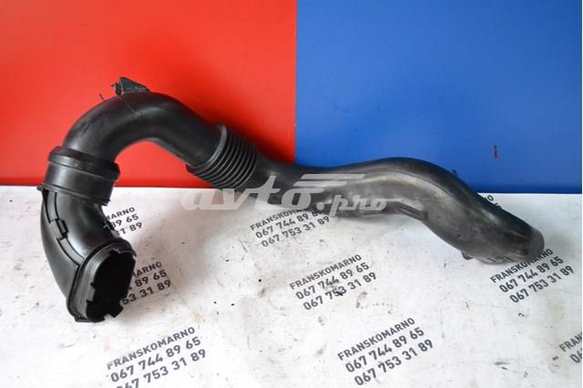 Tubo de admisión de aire, entrada del filtro de aire Renault (RVI) 165556691R precio, desde 49,37 EUR