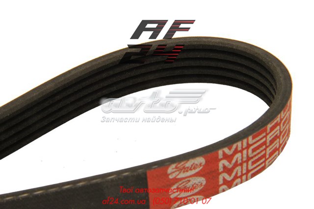 Correa de alternador 5PK650 Dayco